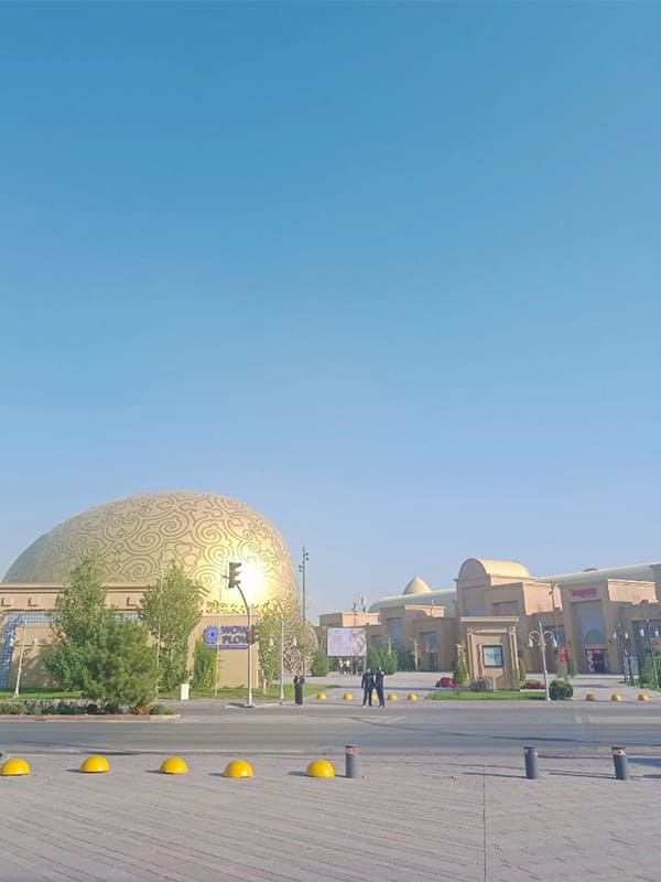 トルキスタンの様子⑤